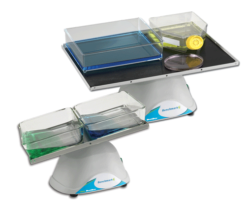 BlotBoy&trade; and Mini BlotBoy - 3D Rocker