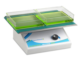 Everlast 247 Rocker &ndash; 2D