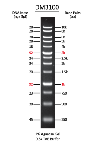 1 KB (0.25-10 kb) DNA Ladder