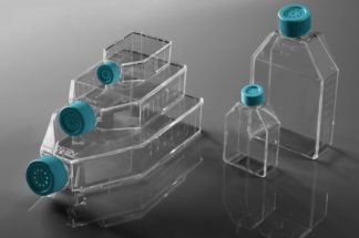 Cell Culture Flasks - Treated Sterile