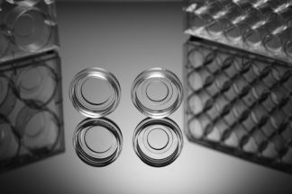 Cell Cutlure Dishes/ Plates -Glass Bottom Sterile