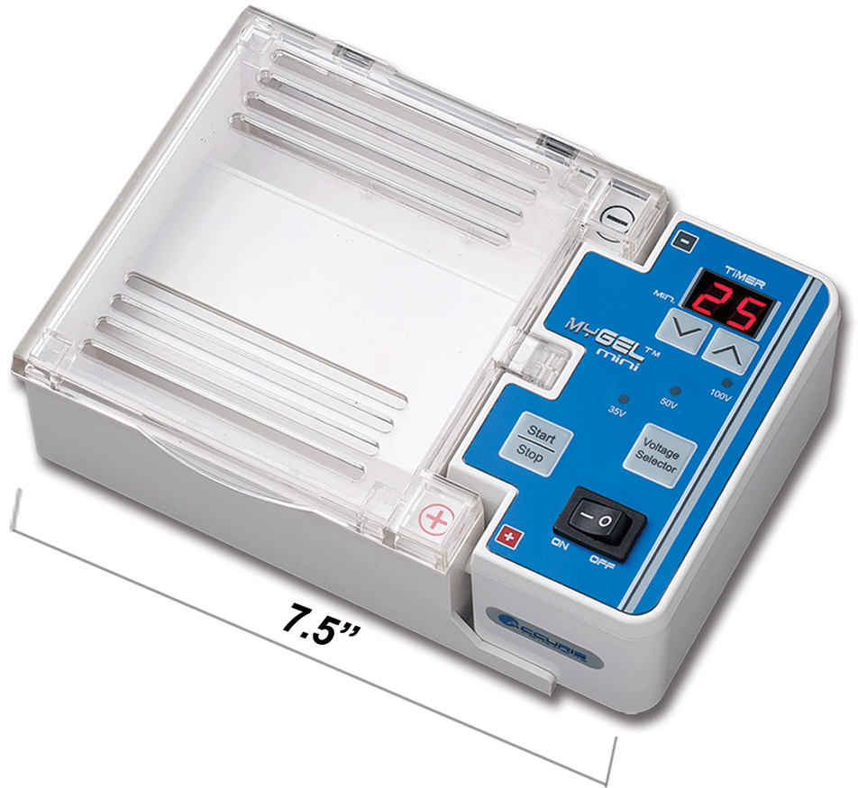 myGel&trade; Mini Electrophoresis System