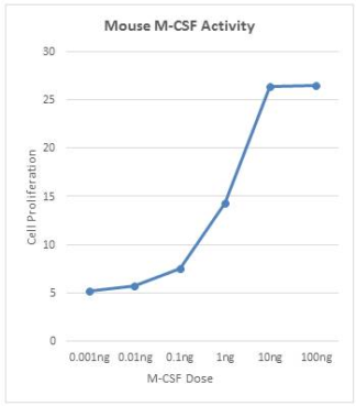 Recombinant Mouse M-CSF Protein